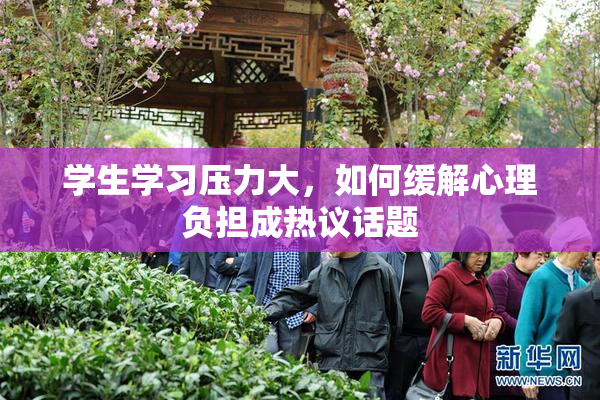 学生学习压力大，如何缓解心理负担成热议话题