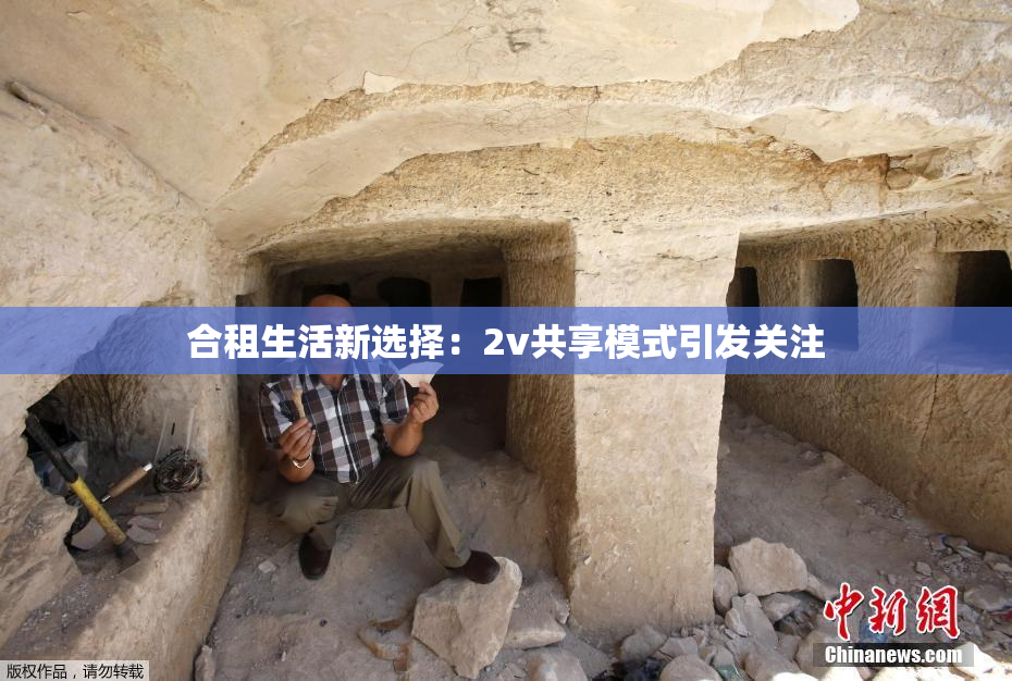 合租生活新选择：2v共享模式引发关注