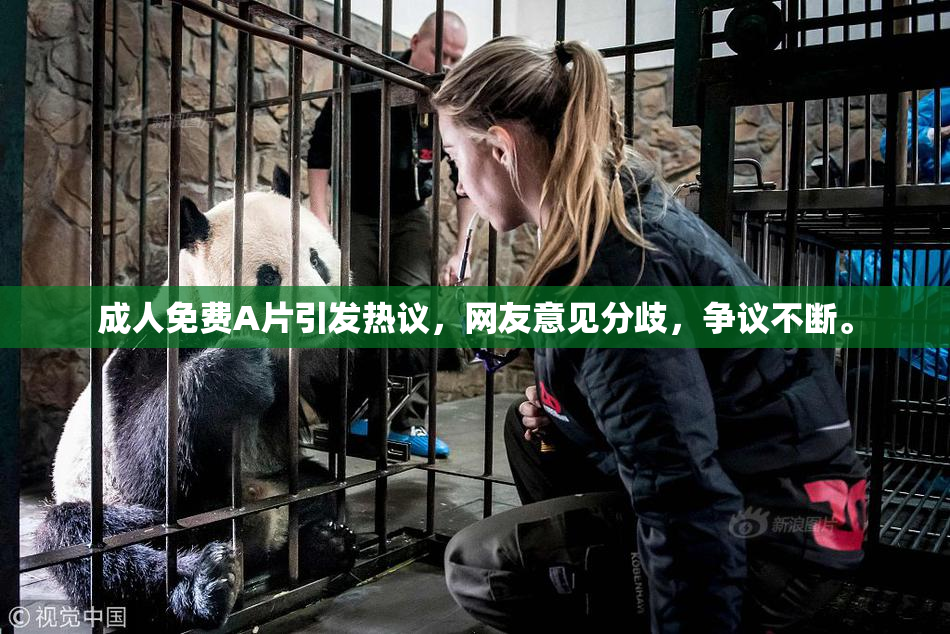 成人免费A片引发热议，网友意见分歧，争议不断。