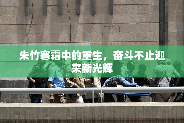朱竹寒霜中的重生，奋斗不止迎来新光辉