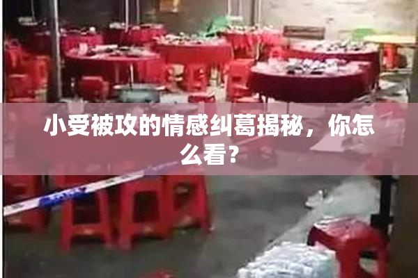 小受被攻的情感纠葛揭秘，你怎么看？