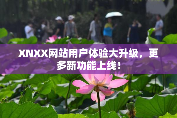 XNXX网站用户体验大升级，更多新功能上线！