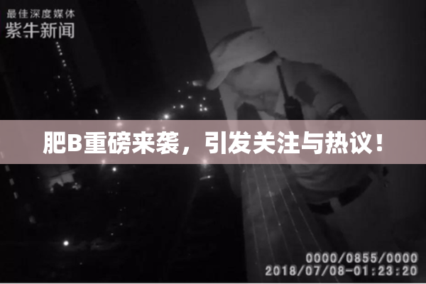 肥B重磅来袭，引发关注与热议！