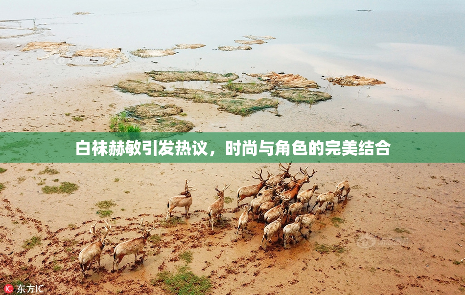 白袜赫敏引发热议，时尚与角色的完美结合