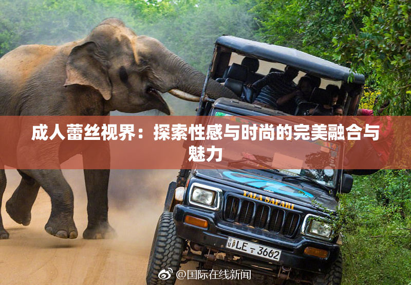 成人蕾丝视界：探索性感与时尚的完美融合与魅力