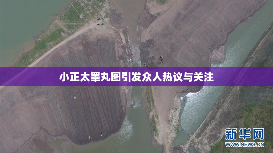 小正太睾丸图引发众人热议与关注