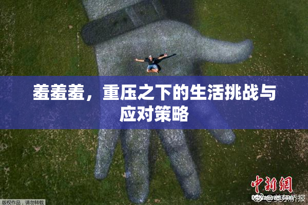 羞羞羞，重压之下的生活挑战与应对策略