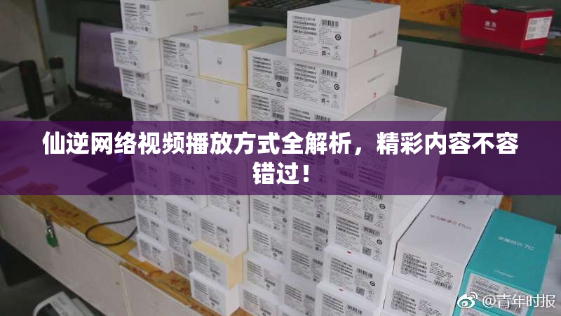 仙逆网络视频播放方式全解析，精彩内容不容错过！
