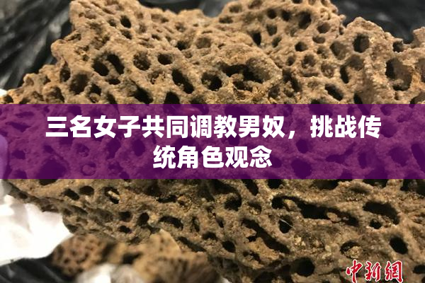三名女子共同调教男奴，挑战传统角色观念