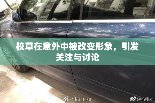 校草在意外中被改变形象，引发关注与讨论