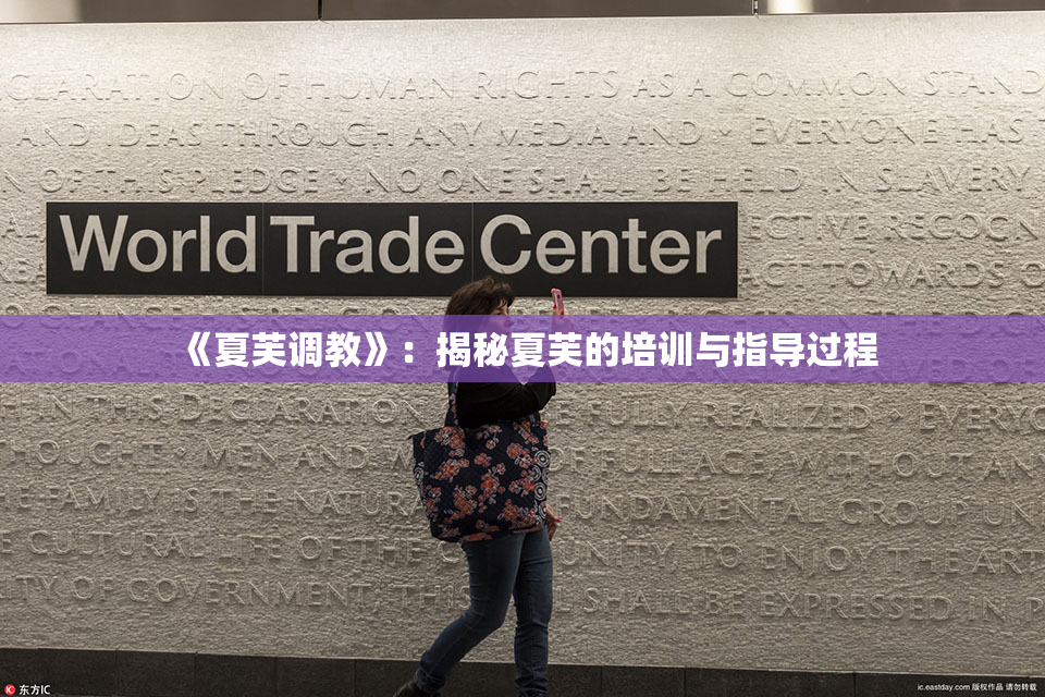 《夏芙调教》：揭秘夏芙的培训与指导过程