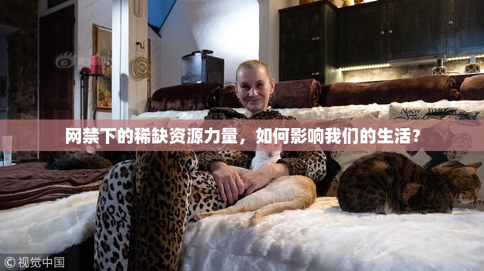 网禁下的稀缺资源力量，如何影响我们的生活？