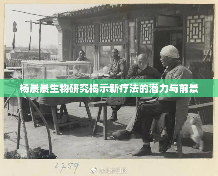 杨晨晨生物研究揭示新疗法的潜力与前景