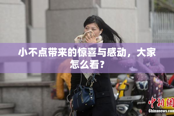 小不点带来的惊喜与感动，大家怎么看？