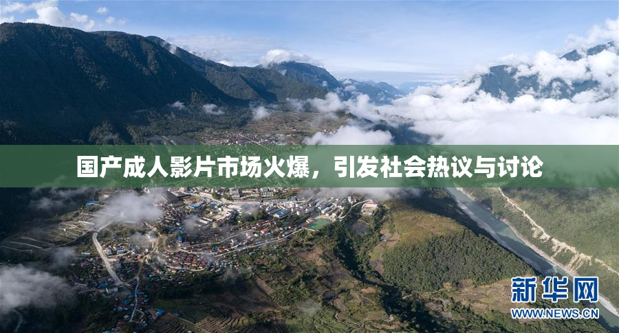 国产成人影片市场火爆，引发社会热议与讨论