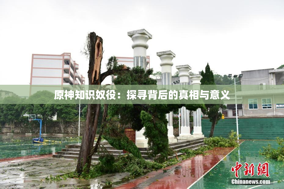 原神知识奴役：探寻背后的真相与意义