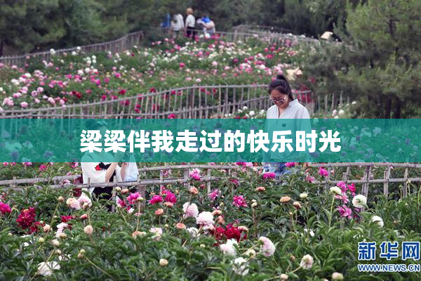 梁梁伴我走过的快乐时光