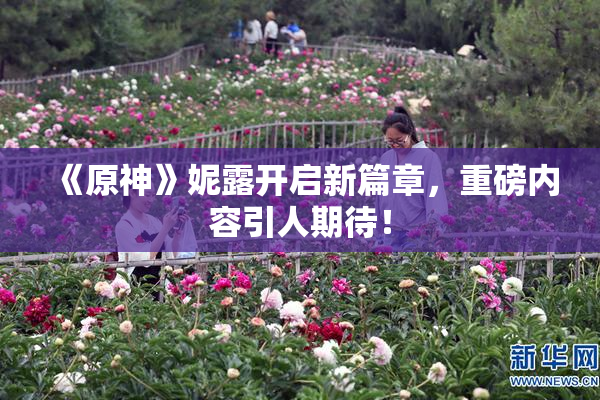 《原神》妮露开启新篇章，重磅内容引人期待！