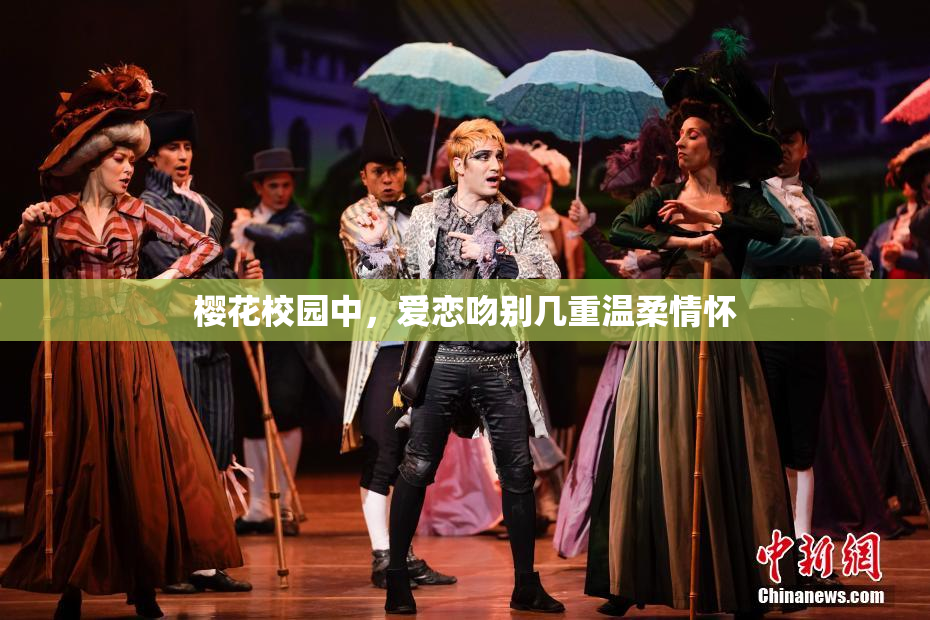 樱花校园中，爱恋吻别几重温柔情怀