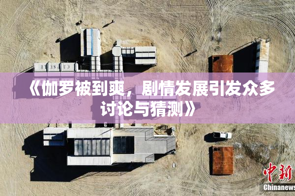 《伽罗被到爽，剧情发展引发众多讨论与猜测》