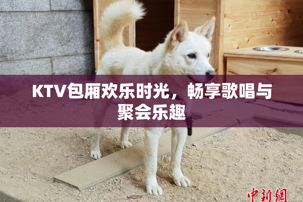 KTV包厢欢乐时光，畅享歌唱与聚会乐趣