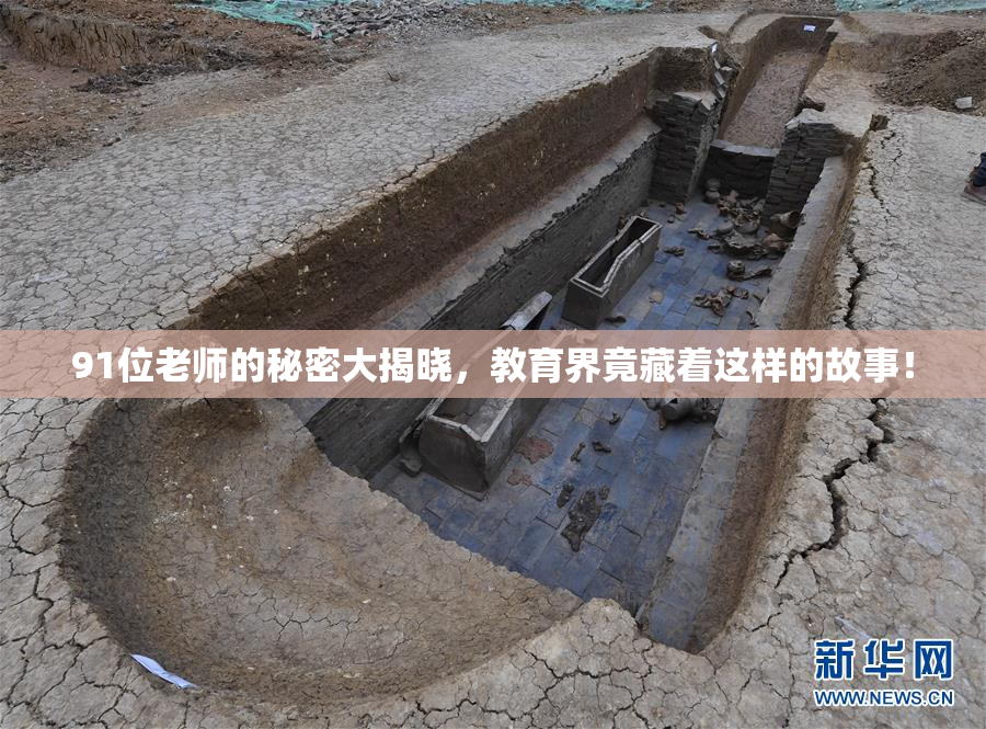 91位老师的秘密大揭晓，教育界竟藏着这样的故事！