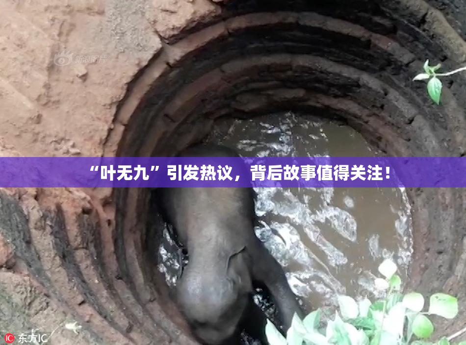 “叶无九”引发热议，背后故事值得关注！