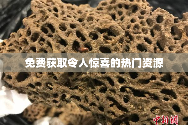 免费获取令人惊喜的热门资源