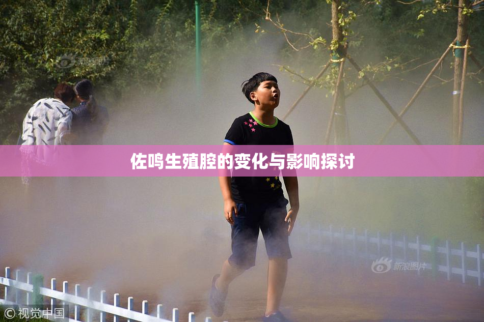 佐鸣生殖腔的变化与影响探讨