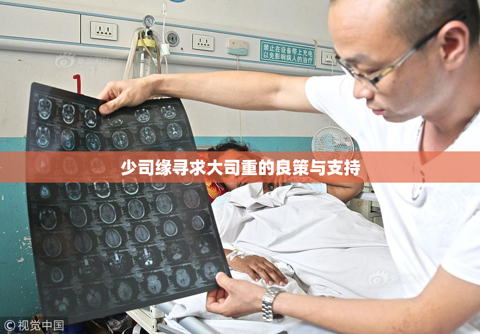 少司缘寻求大司重的良策与支持