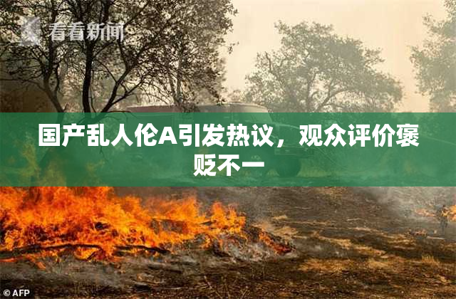 国产乱人伦A引发热议，观众评价褒贬不一