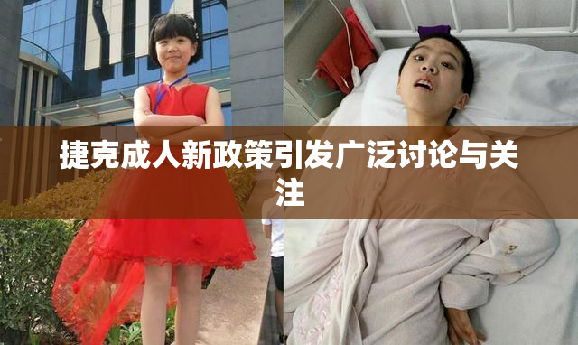 捷克成人新政策引发广泛讨论与关注