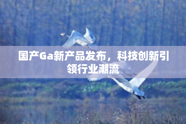 国产Ga新产品发布，科技创新引领行业潮流