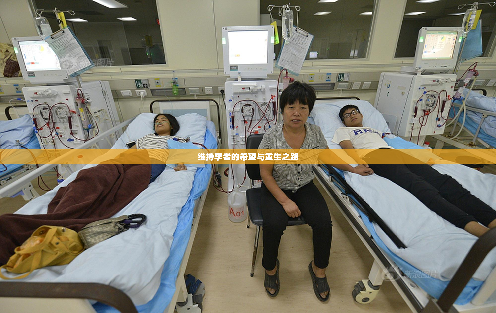 维持李者的希望与重生之路