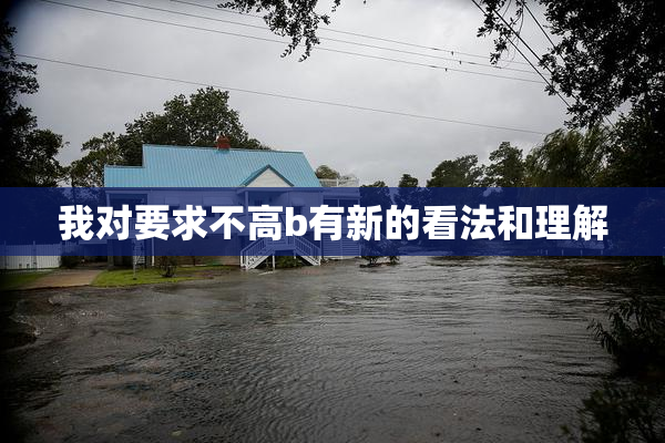 我对要求不高b有新的看法和理解