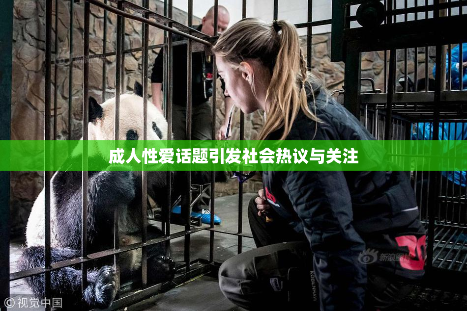 成人性爱话题引发社会热议与关注