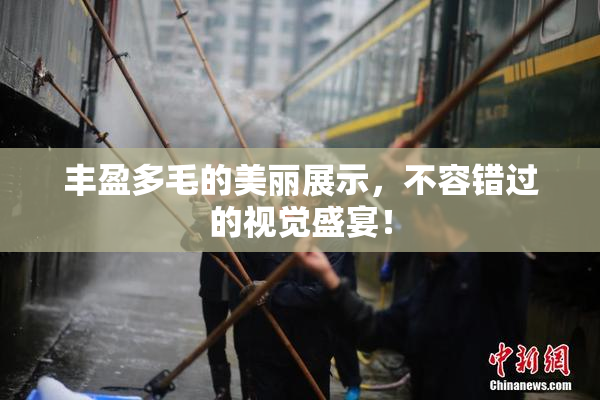 丰盈多毛的美丽展示，不容错过的视觉盛宴！