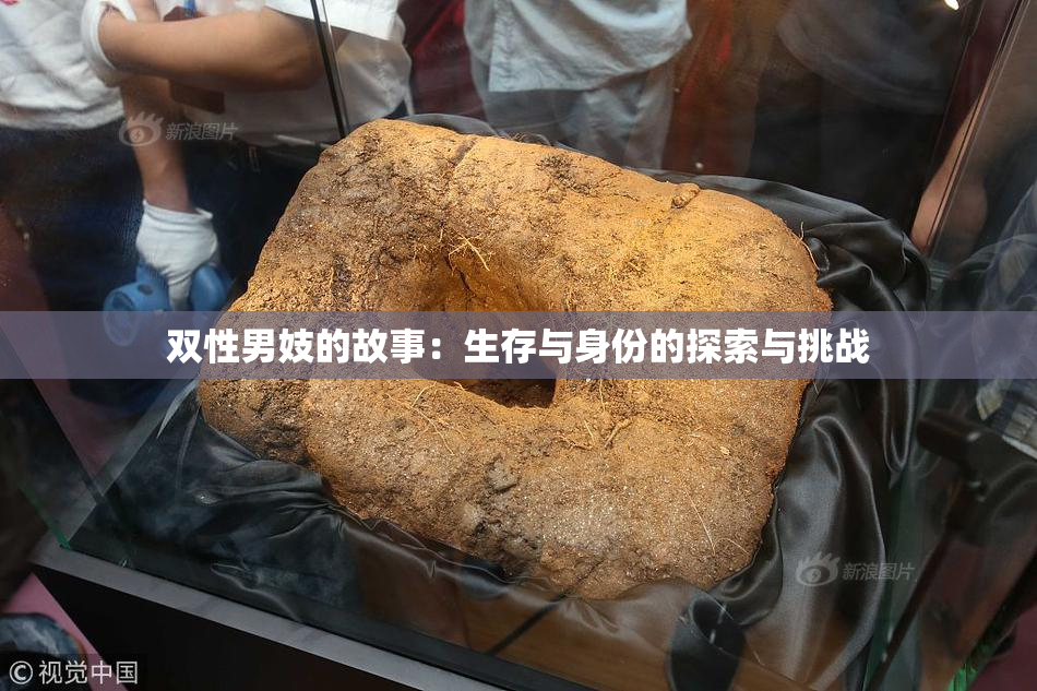双性男妓的故事：生存与身份的探索与挑战