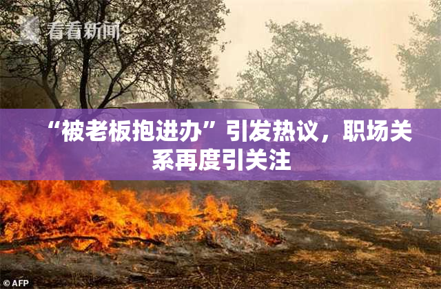 “被老板抱进办”引发热议，职场关系再度引关注