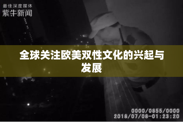 全球关注欧美双性文化的兴起与发展