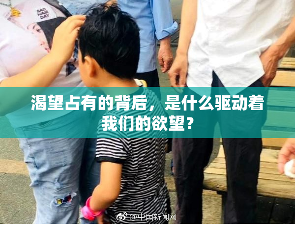 渴望占有的背后，是什么驱动着我们的欲望？