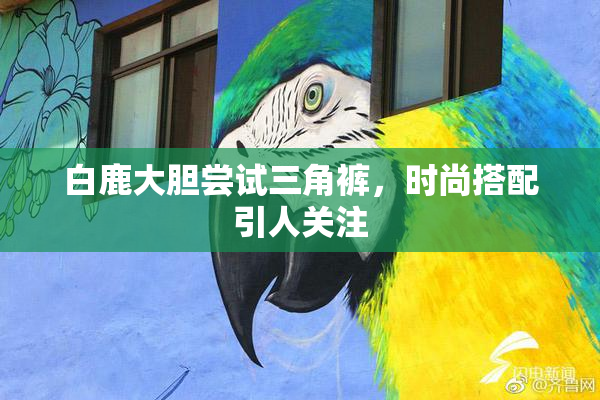 白鹿大胆尝试三角裤，时尚搭配引人关注