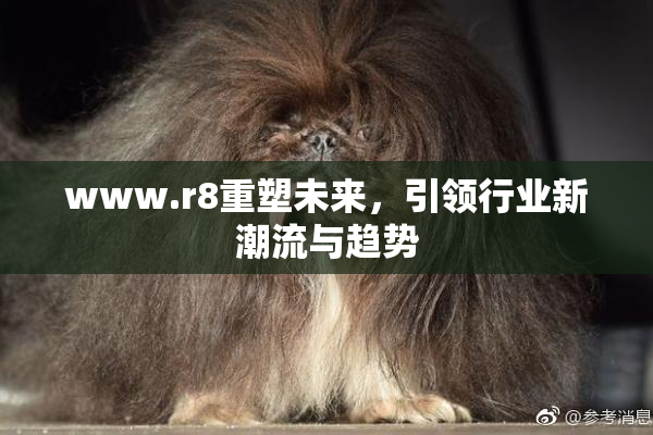 www.r8重塑未来，引领行业新潮流与趋势