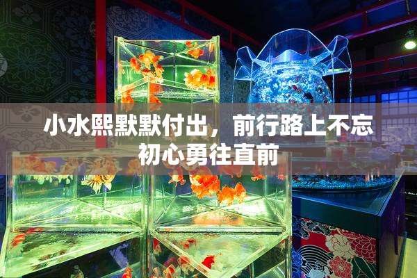 小水熙默默付出，前行路上不忘初心勇往直前