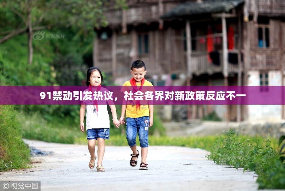 91禁动引发热议，社会各界对新政策反应不一