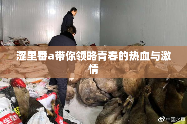 涩里番a带你领略青春的热血与激情