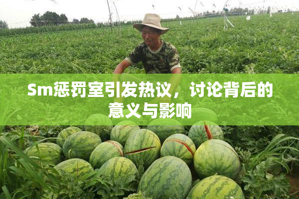 Sm惩罚室引发热议，讨论背后的意义与影响