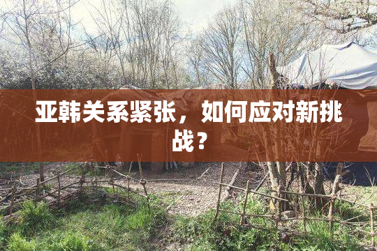 亚韩关系紧张，如何应对新挑战？