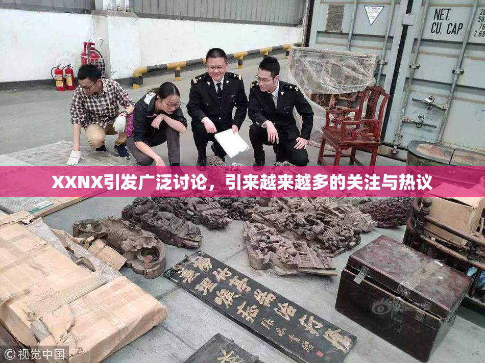 XXNX引发广泛讨论，引来越来越多的关注与热议
