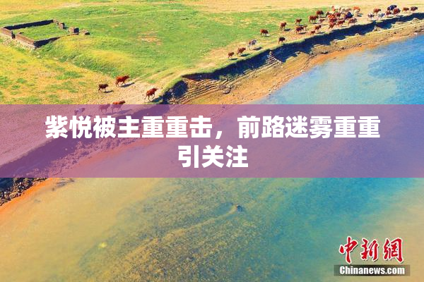 紫悦被主重重击，前路迷雾重重引关注
